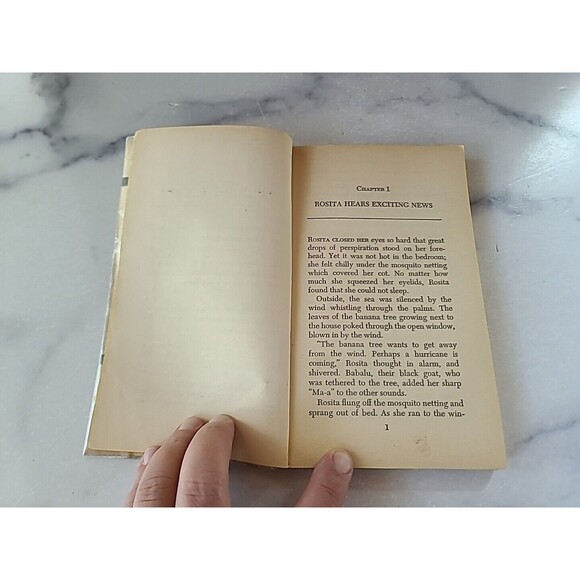 A Present From Rosita By Celeste Edell Paperback - Picture 5 of 10